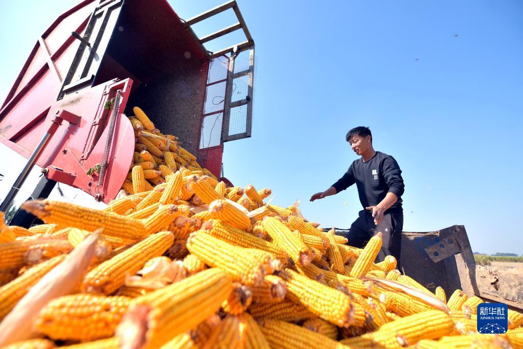 金沙手机网投老品牌值得信赖